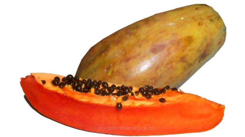 Papaya Colombia